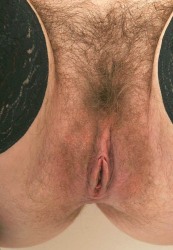 Hairy vagina