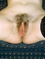 Hairy pussy in brunette